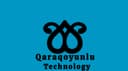 "QARAQOYUNLU TECHNOLOGY" MMC logo