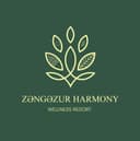 ZƏNGƏZUR CO MMC logo