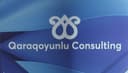 QARAQOYUNLU CONSULTİNG MMC logo